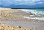 Nudey Beach - Fitzroy Island